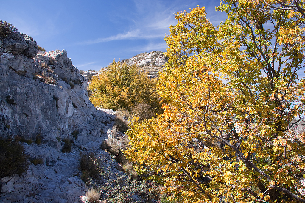 25_Guadalupe National Park_06.jpg